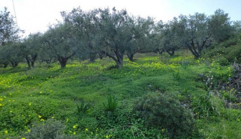 Milatos Kreta, Milatos: Baugrundstück in der Nähe des Hafens zu verkaufen Grundstück kaufen